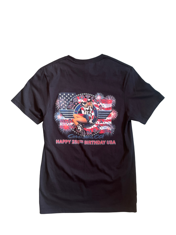 250th USA Pin Up T-Shirt